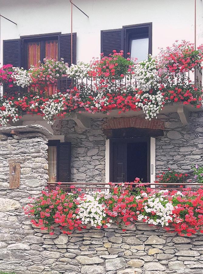 B&B Terra Di Confine Venalzio Exteriér fotografie